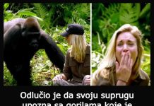 Iako je bila upozorena, ipak im se previše približila, a nakon toga se desilo nešto neočekivano!