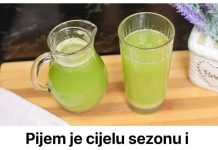Pijem je cijelu sezonu i NIKAD se ne debljam: Ovaj RECEPT zovem “mršava voda” – počinje da gori!