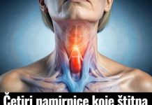 4 namirnice koje štitna žlijezda voli: Neka što češće budu na vašem jelovniku!