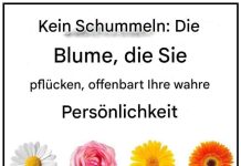 Kein Geschwätz. Die Blume, die Sie pflücken, offenbart Ihren wahren Charakterzug