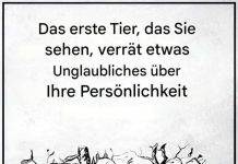 Das erste Tier, das du siehst, wird etwas über deine Persönlichkeit verraten
