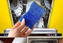 GESCHIRRSPÜLER, VOR DEM START IMMER EINEN SCHWAMM EINLEGEN: DER GRUND