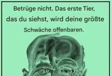 Welches Tier Sie in diesem Bild zuerst sehen, könnte etwas über Ihre Persönlichkeit verraten