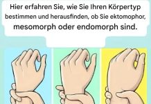 Bist du ein Ektomorph, Mesomorph oder Endomorph? Finde deinen Körpertyp heraus und lerne, wie du ihn optimal in Szene setzt.