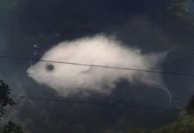 Was Sie zuerst sehen, verrät etwas Wichtiges über Ihre Persönlichkeit.