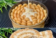 Der beste ZITRONENKUCHEN der Welt. Es zergeht auf der Zunge, ganz einfach und lecker