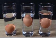 3 Technik, um zu erkennen, ob ein Ei frisch oder faul ist