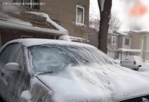 Mein Nachbar übergoss mein Auto bei eisiger Kälte mit Wasser – er bereute es noch in derselben Nacht.