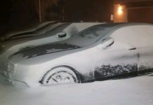 schlagen Alarm, Experten warnen eindringlich – die Lage könnte schnell