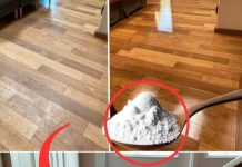 Strahlend saubere Böden ohne Chemie: Das Geheimnis der Profis