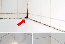 Silikonfugen von Schimmel befreien: So funktioniert’s