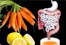 Revitalisieren Sie Ihre Leber und Ihren Darm in nur 3 Tagen: Entfesseln Sie die Kraft der Zitronen- und Karotten-Entgiftung