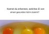 Wie man Eier von gesunden Hühnern erkennt
