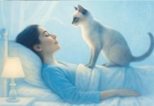 Warum kommen Katzen dir beim Schlafen ins Gesicht?