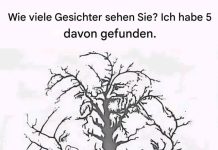Wie viele Gesichter siehst du in diesem Baum?