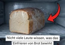 Ein praktischer Leitfaden zum richtigen Einfrieren von Brot