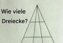 Können Sie sagen, wie viele Dreiecke in diesem Bild versteckt sind? Nur 1 % der Menschen haben die richtige Antwort.