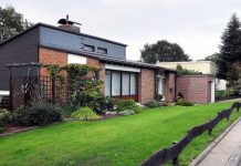 In Deutschland breiten sich vermehrt schwarze Schlangen aus