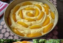 Diesen Kuchen isst du in 10 Minuten, Sie brauchen 450g Aprikosen!