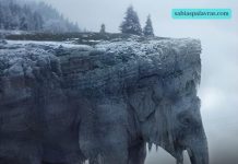 Was haben Sie auf den ersten Blick gesehen