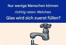 Rätsel: Welches Glas wird zuerst gefüllt? 7 Gläser