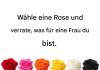 Wähle eine Rose und verrate, was für eine Frau du bist.