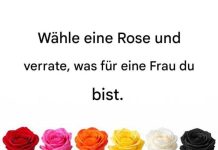 Wähle eine Rose und verrate, was für eine Frau du bist.
