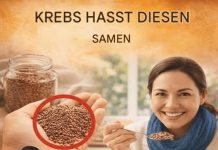 5 Samen, die zur Gesundheit beitragen können