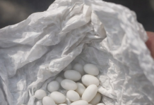 „Ich habe seltsame weiße Kügelchen im Rucksack meines 15-jährigen Sohnes gefunden: Er sagt, es seien nur Bonbons, aber ich traue ihm nicht.“