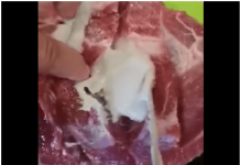 „VIDEO: Ein Mann aus Kroatien kaufte Fleisch, aus dem etwas Ekelhaftes austrat – sehen Sie sich das Video an“