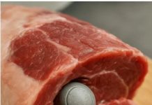 „Ich habe versucht, das Abendessen zuzubereiten — stattdessen bekam ich eine Szene wie aus einem Horrorfilm“