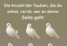 Die Anzahl der Tauben, die du siehst, verrät, wer an deiner Seite geht
