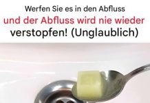 Die natürliche Lösung für einwandfreie Rohre