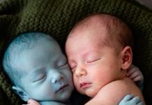 “Když die Krankenschwester das leblose Baby neben seine gesunde Zwillingsschwester legte, wollte sie sich nur verabschieden. Doch was danach geschah, brachte sie weinend auf die Knie …”