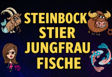 Steinbock, Stier, Jungfrau und Fische: Bevorstehende Veränderungen, die euer Leben prägen werden
