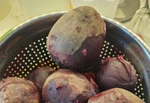 Ärzte enthüllen, dass der Verzehr von Roter Bete verursacht …