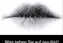 Was sehen Sie auf dem Bild? Die Antwort verrät Ihre psychologische Natur