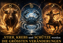 „STIER, KREBS und SCHÜTZE werden DIE GRÖSSTEN VERÄNDERUNGEN ihres Lebens erleben – sie müssen wirklich auf ALLES vorbereitet sein!“
