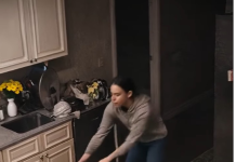 „Als der Ehemann eine Kamera installierte, ließ ihn die Wahrheit erstarren: Der Hund griff nicht an — er verhinderte das Schlimmste“