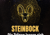 STEINBOCK: Die Tränen lassen sich nicht aufhalten – das Karma bringt euch einen Schock, der euer Schicksal verändert!