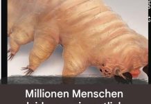 Wie man Demodex Eyemiten erkennt