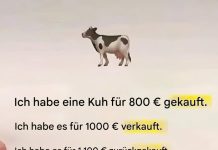 Mathematisches Kuhrätsel: Kannst du es lösen?