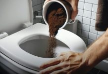 Das Einfüllen von Kaffeesatz in die Toilette löst eines der größten Probleme in Toiletten