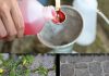 Unkultivierter Garten, nur mit dieser Zutat beseitigen Sie jegliches Unkraut und Sträucher