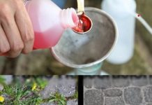 Unkultivierter Garten, nur mit dieser Zutat beseitigen Sie jegliches Unkraut und Sträucher