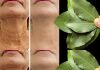 Ist Lorbeerblatt 100.000 Mal wirksamer als Botox? | Natürlicher Faltenentferner, auch mit 70