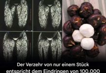 Schon ein einziger Bissen ist schädlich, dennoch essen viele ihn ohne Bedenken
