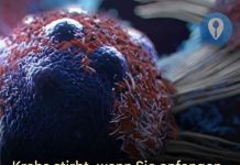 8 wirksame Anti-Krebs-Lebensmittel, die Sie in Ihre Ernährung aufnehmen sollten