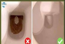 Schwarze Flecken am Boden von Toiletten: Der natürliche Trick, um sie MÜHELOS zu beseitigen