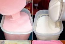 Einfaches Eisrezept: nur 4 Zutaten, sehr cremig, hervorragende Ausbeute